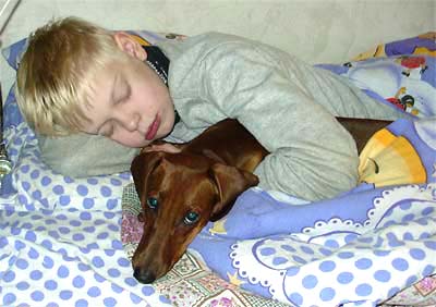Dachshund protects baby at night